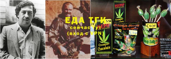 стаф Дмитров