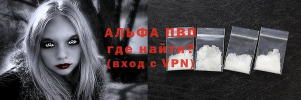 стаф Дмитров
