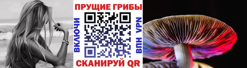 Псилоцибиновые грибы Magic Shrooms Купить закладки Каменск-Шахтинский